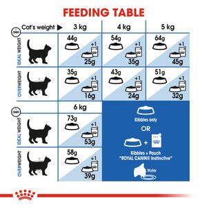 ROYAL CANIN® Indoor Long Hair 10kg